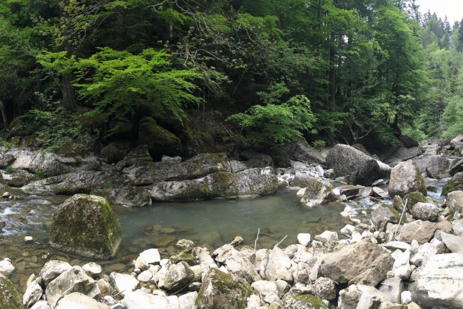 Panoramabild Bolgenach