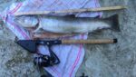 Es können große Fische gefangen werden