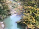 Herbstbild aus dem Revier 2
