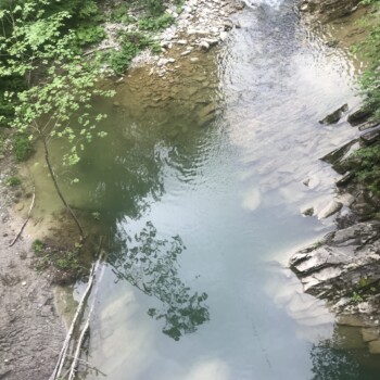 3. Besatz untere Bolgenach