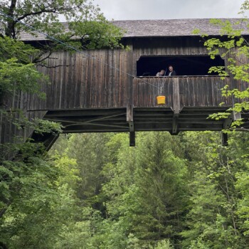 3. Besatz untere Bolgenach
